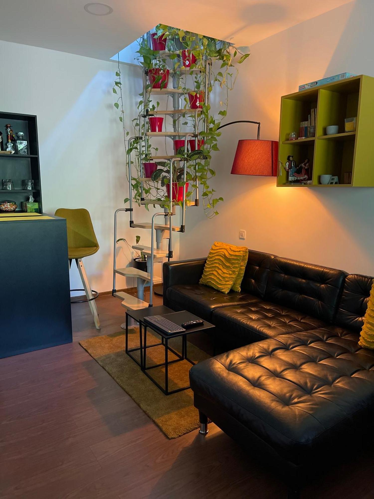 City Garden Apartments Bucharest Exterior photo